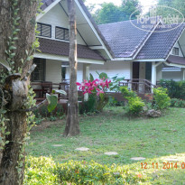 фото из отзыва ID 1107183