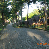 фото из отзыва ID 1107183