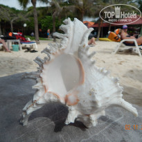 фото из отзыва ID 1104170