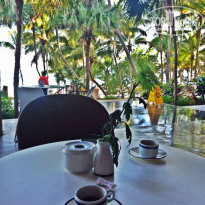 фото из отзыва ID 1107289