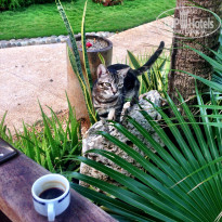 фото из отзыва ID 1107289