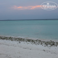 фото из отзыва ID 1107376