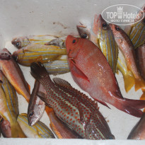 фото из отзыва ID 1107376