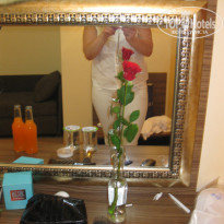 фото из отзыва ID 1107379