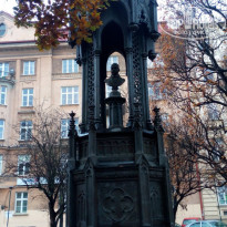 фото из отзыва ID 1107561