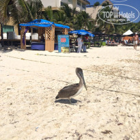 фото из отзыва ID 1107564