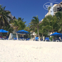 фото из отзыва ID 1107564