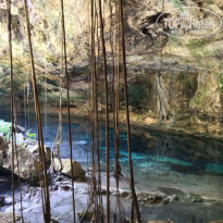 фото из отзыва ID 1107564