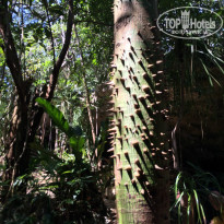 фото из отзыва ID 1107564