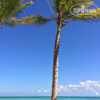 фото из отзыва ID 1107564