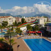 фото из отзыва ID 1107586