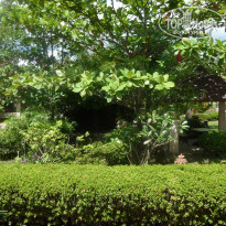 фото из отзыва ID 1107554