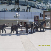 фото из отзыва ID 1107807