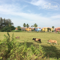 фото из отзыва ID 1107954