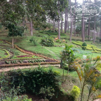 фото из отзыва ID 1108011