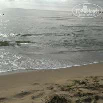 фото из отзыва ID 1107966