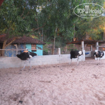 фото из отзыва ID 1108187