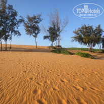 фото из отзыва ID 1108187