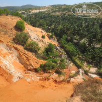 фото из отзыва ID 1108187