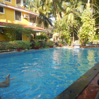 фото из отзыва ID 1108342