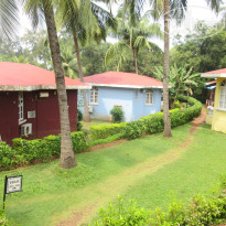 фото из отзыва ID 1108463