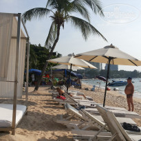 фото из отзыва ID 1108561