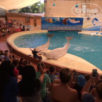 фото из отзыва ID 1108564