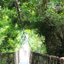 фото из отзыва ID 1108629