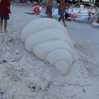 фото из отзыва ID 1108670