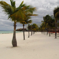 фото из отзыва ID 1108670