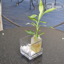 фото из отзыва ID 1108688