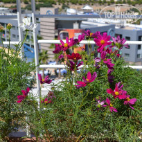 фото из отзыва ID 1108688