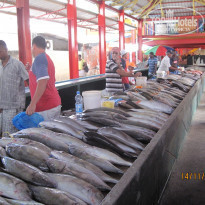 фото из отзыва ID 1108699