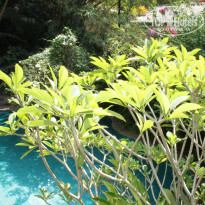 фото из отзыва ID 1108749