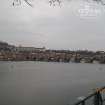 фото из отзыва ID 1108783