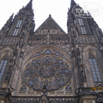 фото из отзыва ID 1108783