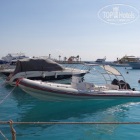 фото из отзыва ID 1108888