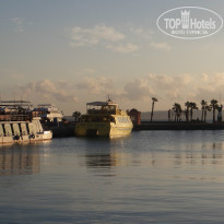 фото из отзыва ID 1108888