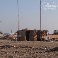 фото из отзыва ID 1108888