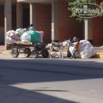 фото из отзыва ID 1108888