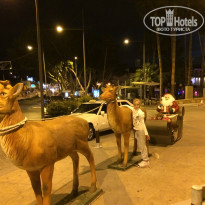 фото из отзыва ID 1108902