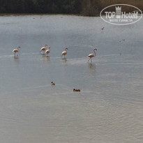 фото из отзыва ID 1108902