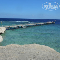 фото из отзыва ID 1108830