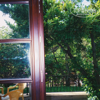 фото из отзыва ID 1108934