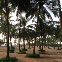 фото из отзыва ID 1108954