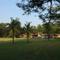 фото из отзыва ID 1108954