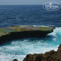 фото из отзыва ID 1109003