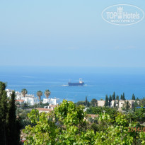 фото из отзыва ID 1109030