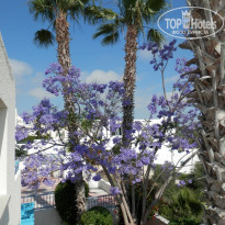 фото из отзыва ID 1109030