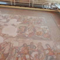 фото из отзыва ID 1109030